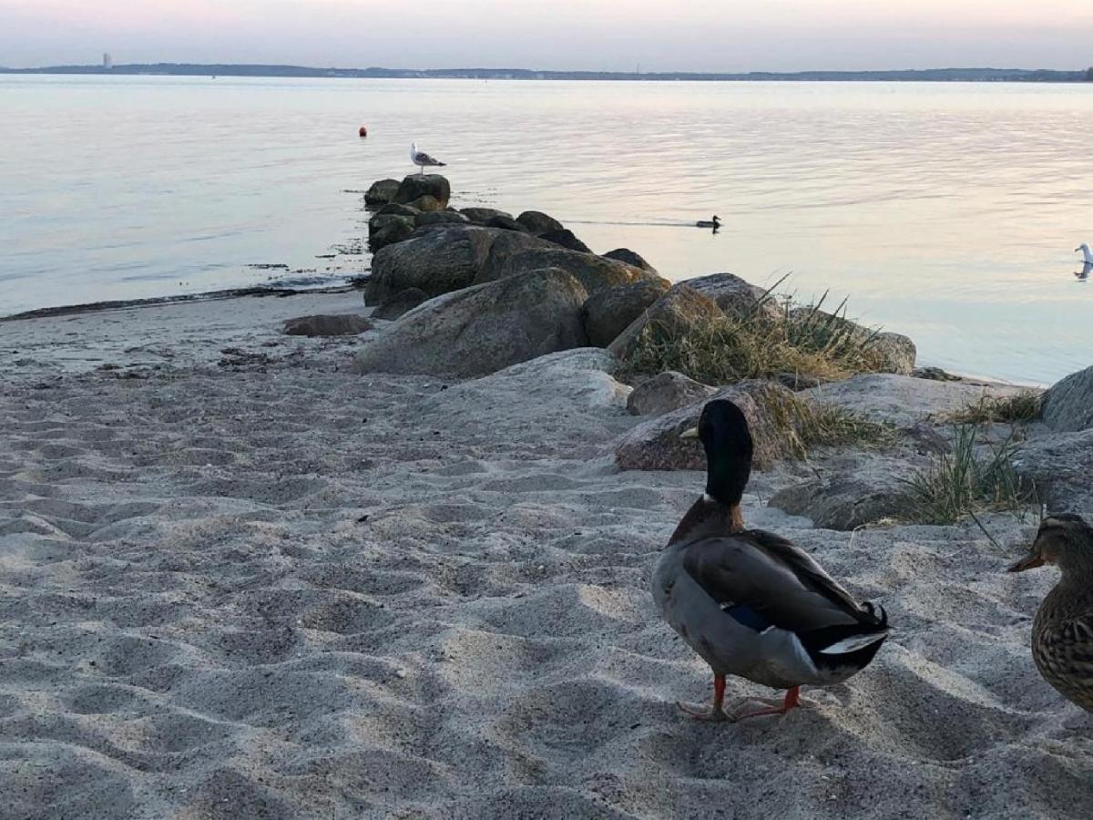 Ostseecamp Luebecker Bucht Casa Del Mar Mit Kostenfreier Saunanutzung Scharbeutz Zewnętrze zdjęcie
